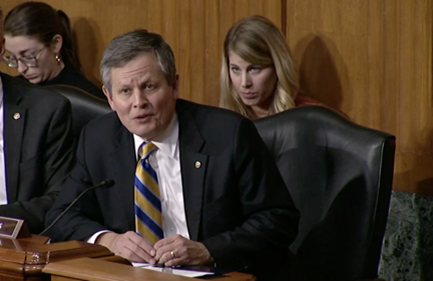 Daines Alzheimer